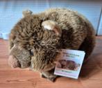 Teddy hermann wombat knuffel NIEUW!, Ophalen of Verzenden, Nieuw, Overige typen