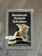 Nadja Jungmann - Basisboek aanpak schulden, Sociale wetenschap, Ophalen of Verzenden, Zo goed als nieuw, Nadja Jungmann; Tamara Madern