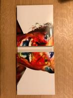 Metallica - Hardwired...To Self-Destruct (CD Boxset), Ophalen of Verzenden, Zo goed als nieuw, Boxset