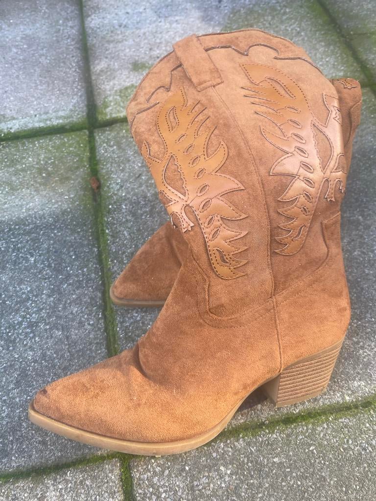 Mooie cowboylaarzen, Kleding | Dames, Schoenen, Ophalen of Verzenden, Zo goed als nieuw, Hoge laarzen