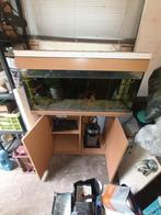 Aquarium met meubel   afhalen in Bellingwolde, Dieren en Toebehoren, Vissen | Aquaria en Toebehoren, Ophalen of Verzenden, Inclusief toebehoren