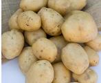 Pootaardappelen Parel, frieslander, Agria, Ophalen of Verzenden