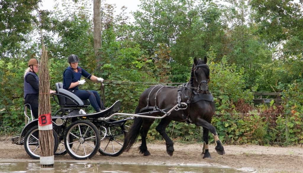 Zeer nette marathonwagen!, Ophalen, Zo goed als nieuw, Dressuur