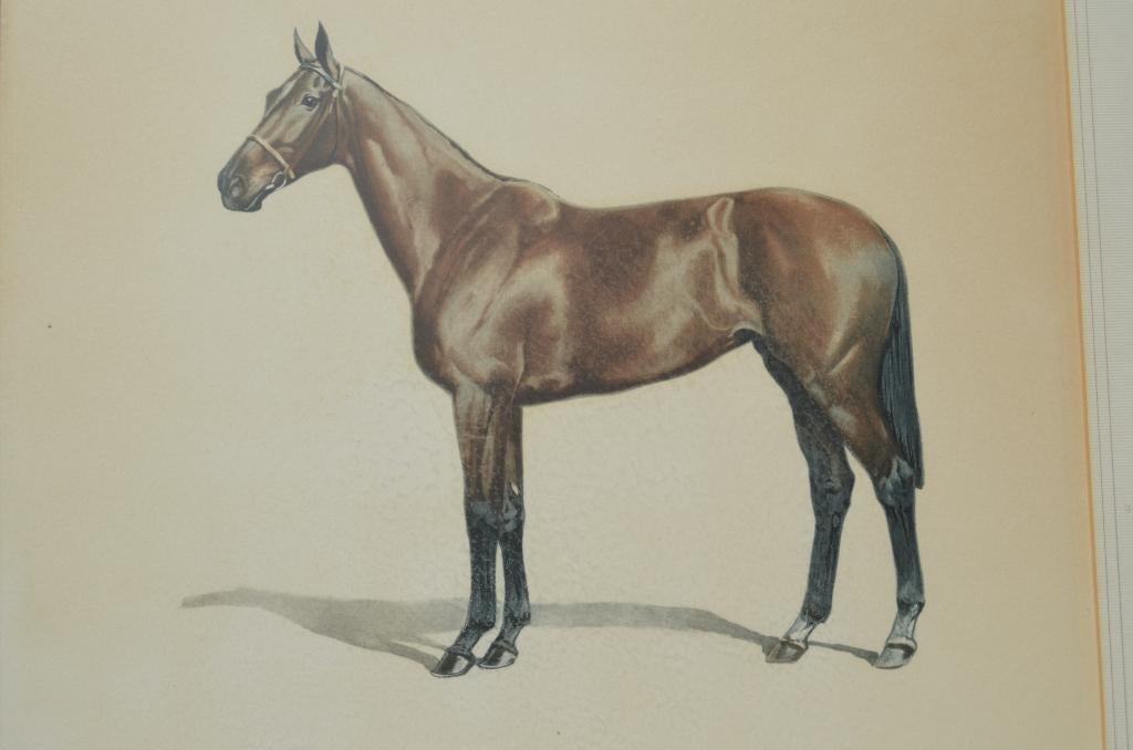 Schitterende Litho Paard Jean Rivet gesigneerd, Antiek en Kunst, Kunst | Litho's en Zeefdrukken, Ophalen of Verzenden
