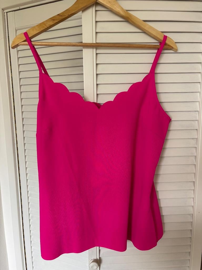 Ted Baker top, Ophalen of Verzenden, Zo goed als nieuw, Zonder mouw