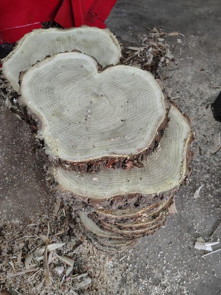 Acacia hout Acacia schijven boomschijven, Ophalen