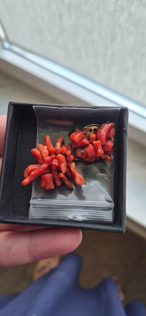 Vintage bloedkoraal oorbellen, Sieraden, Tassen en Uiterlijk, Oorbellen, Ophalen of Verzenden