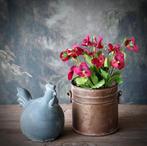 Kunst viooltjes "burgundy", Ophalen of Verzenden, Minder dan 10 m²