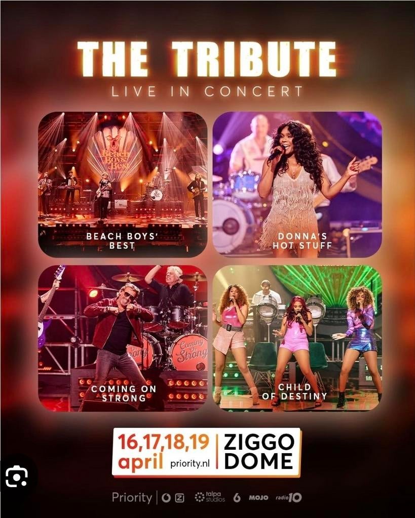Prijs verlaagd:tickets tribute concert zondagmiddag 19 april, Tickets en Kaartjes, Twee personen, April