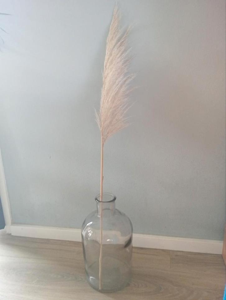 Grote glazen vaas met pluim - Decoratief item, Huis en Inrichting, Woonaccessoires | Vazen, Gebruikt, Overige kleuren, 75 cm of meer