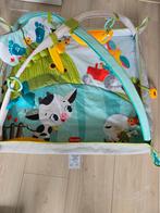 Tiny Love Speelkleed met speelbogen, Ophalen, Gebruikt