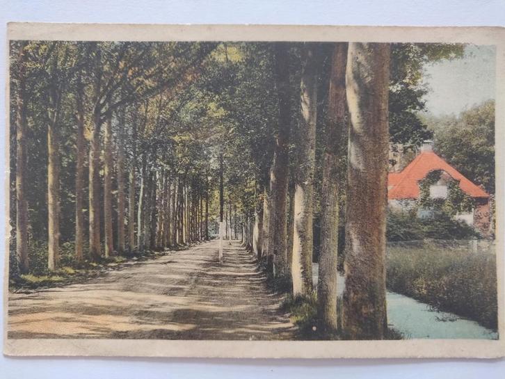 U798 Vught, Verzamelen, Ansichtkaarten | Nederland, Noord-Holland, 1920 tot 1940, Ophalen of Verzenden