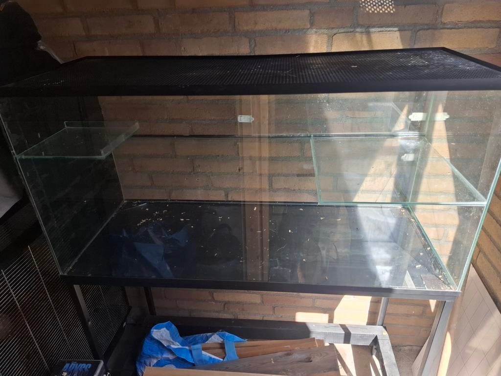 Groote glazen knaagdieren bak, Ophalen