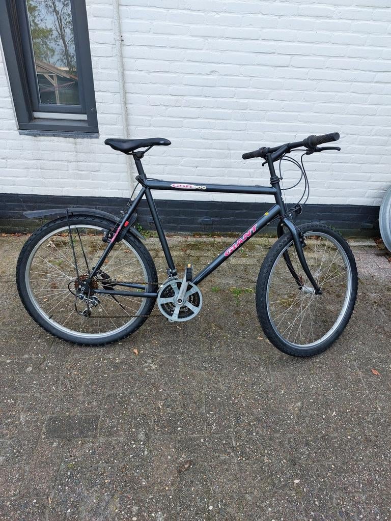 Te koop nette MTB Giant gsr 100. Framehoogte 56 cm., Fietsen en Brommers, Fietsen | Mountainbikes en ATB, Ophalen, Gebruikt, Heren