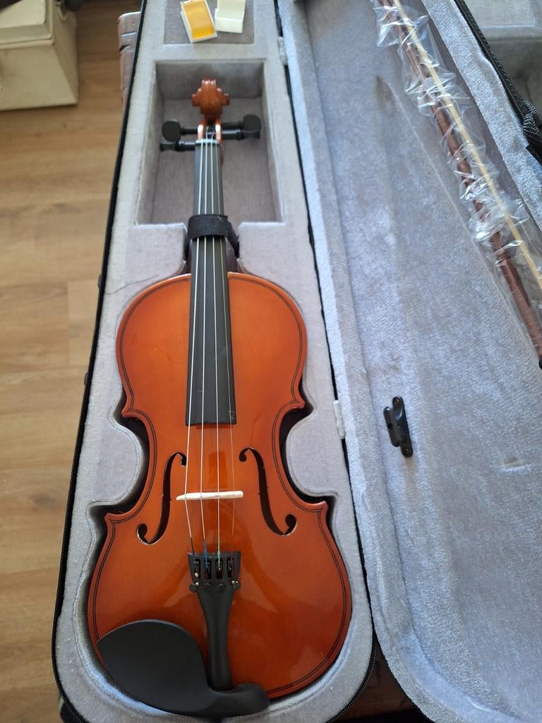 Viool 3 stuks studieviool, Ophalen, Nieuw, 4/4-viool