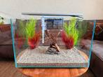 Superfish Scaper 90 - 90 Liter Transparant, Ophalen, Zo goed als nieuw, Leeg aquarium