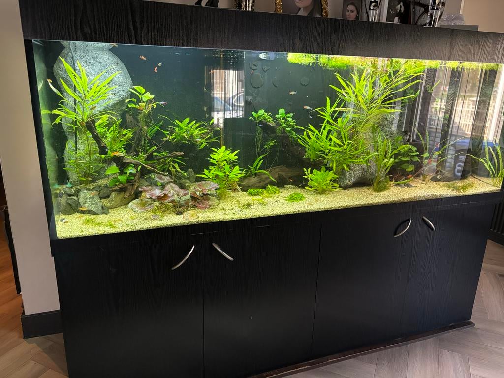 Inhoud aquarium, Dieren en Toebehoren, Vissen | Aquaria en Toebehoren, Ophalen