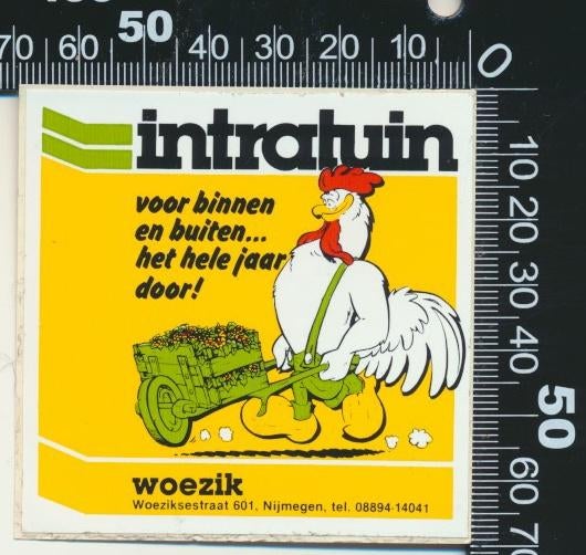 Sticker: Intratuin - Woezik, Ophalen of Verzenden, Zo goed als nieuw, Bedrijf of Vereniging
