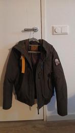Winterjas Parajumpers mt S!, Zo goed als nieuw, Maat 36 (S), Groen, Parajumpers