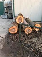 4 zeer mooie walnoot  stammen zaaghout, Ophalen, 250 cm of meer, Palen