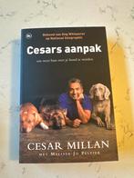 Cesars aanpak: Word weer baas over je hond - Nieuw, Boeken, Ophalen of Verzenden, Nieuw, Honden