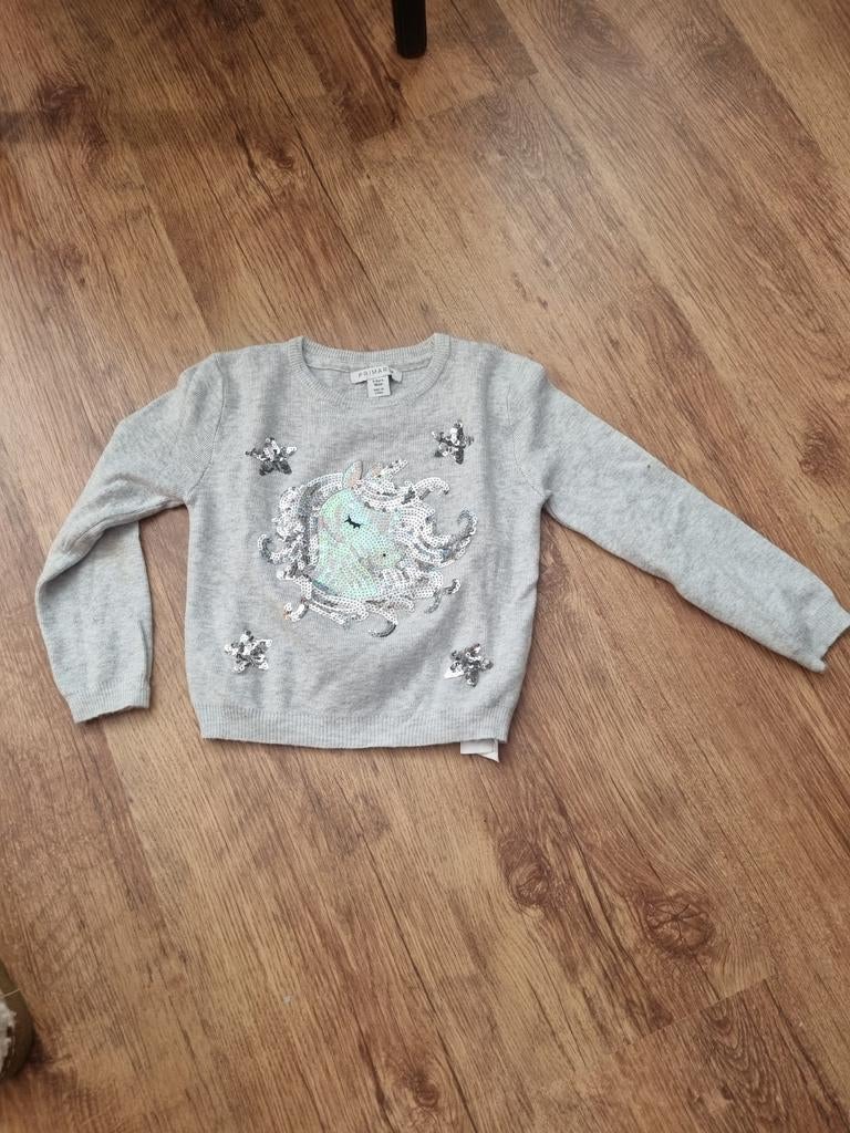 Primark trui met eenhoorn en pailletten, Ophalen of Verzenden, Gebruikt, Primark, Meisje