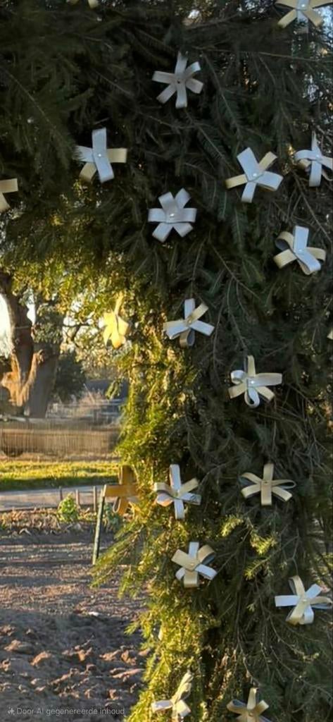 Roosjes 50 jaar, Ophalen, Abraham of Sarah