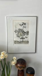 Vintage Willemien Holterman ets vogelboom 1979, Antiek en Kunst, Kunst | Etsen en Gravures, Ophalen of Verzenden