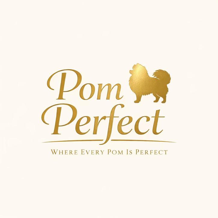 Pomeranian Trimsalon in Vlaardingen, Dieren en Toebehoren, Honden-accessoires, Nieuw, Ophalen