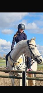 Verzorgpony gezocht/ bijrijder aangeboden, Dieren en Toebehoren, Paarden en Pony's | Verzorgingsproducten, Ophalen of Verzenden