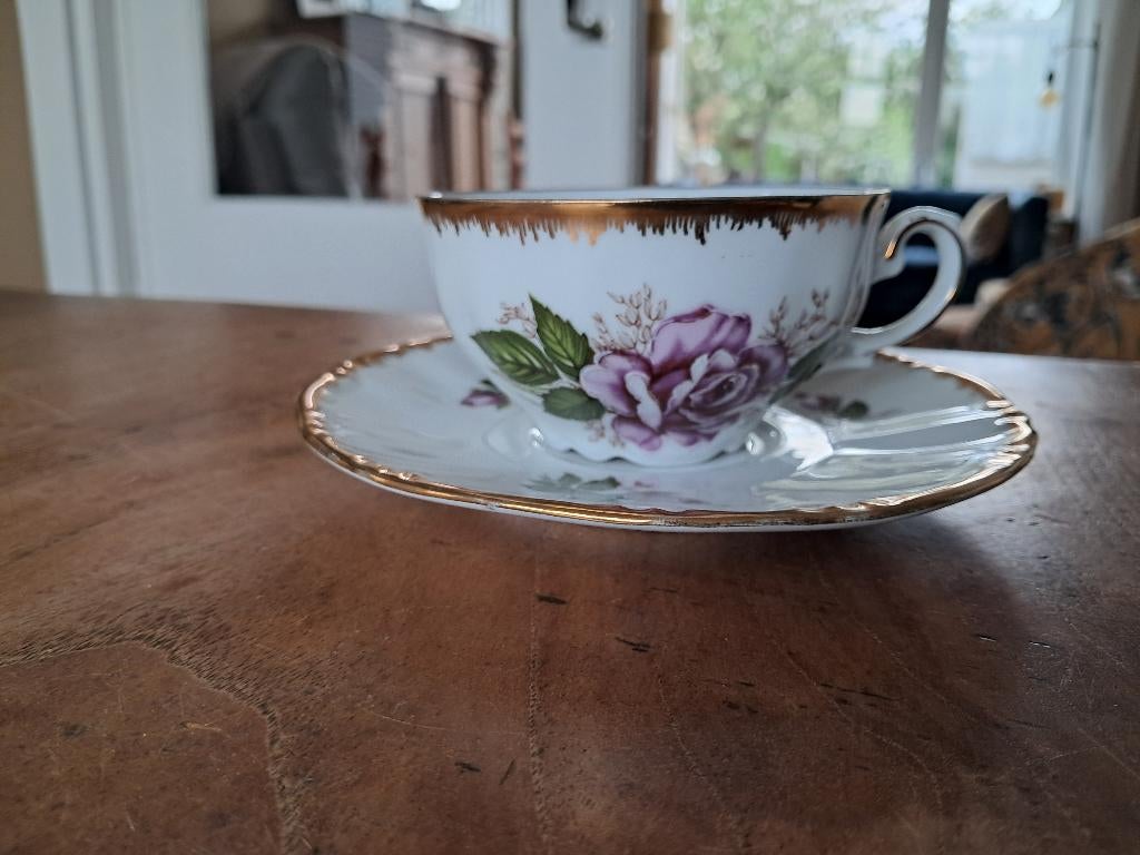 Kronester Bavaria 44 kop en schotel, Ophalen of Verzenden