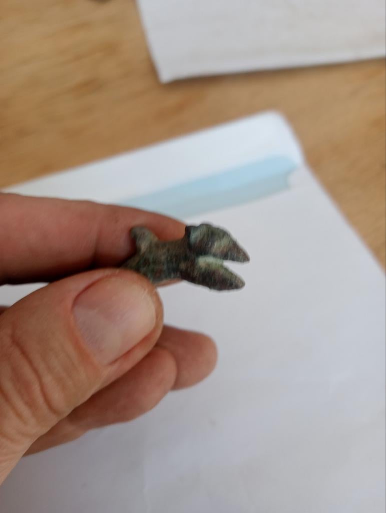 Zeldzame Bodemvondst Betuwe - Gestileerde Dierenkop, Ophalen of Verzenden