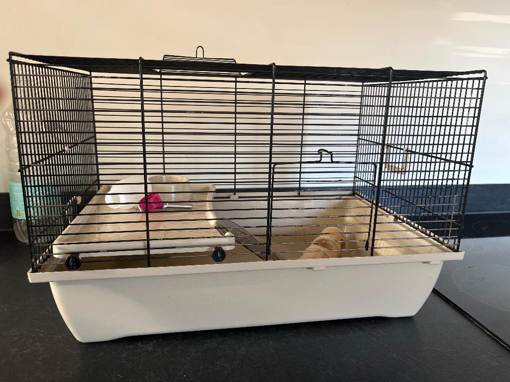 Hamsterkooi, Kooi, Gebruikt, Minder dan 75 cm, Hamster