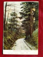 Ansichtkaart Wageningen, Ophalen of Verzenden, Voor 1920, Gelderland