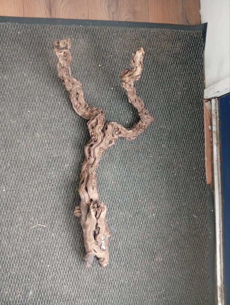 Decoratieve Wijnstok Wortel Houtstuk m, Ophalen of Verzenden
