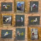 Douglas C-47B Dakota 44-76787 huidpaneel met nose art, Ophalen of Verzenden, Gebruikt, Overige typen