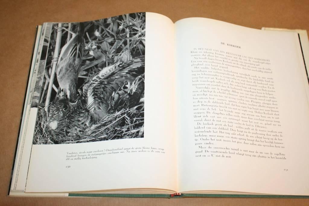 Vogels vóór de Camera - Marcel Verbruggen 1958, Ophalen of Verzenden, Gelezen, Vogels