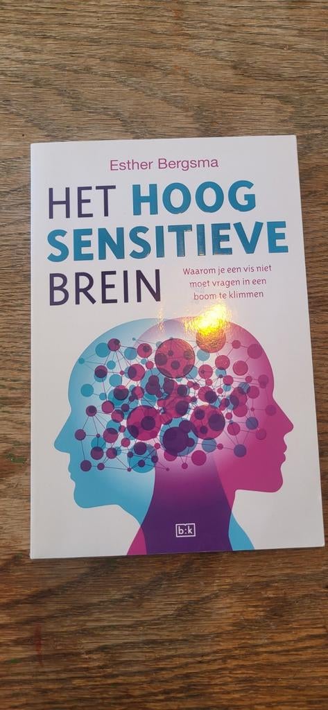 Het Hoog Sensitieve Brein - Esther Bergsma, Ophalen of Verzenden, Zo goed als nieuw, Overige onderwerpen, Esther Bergsma