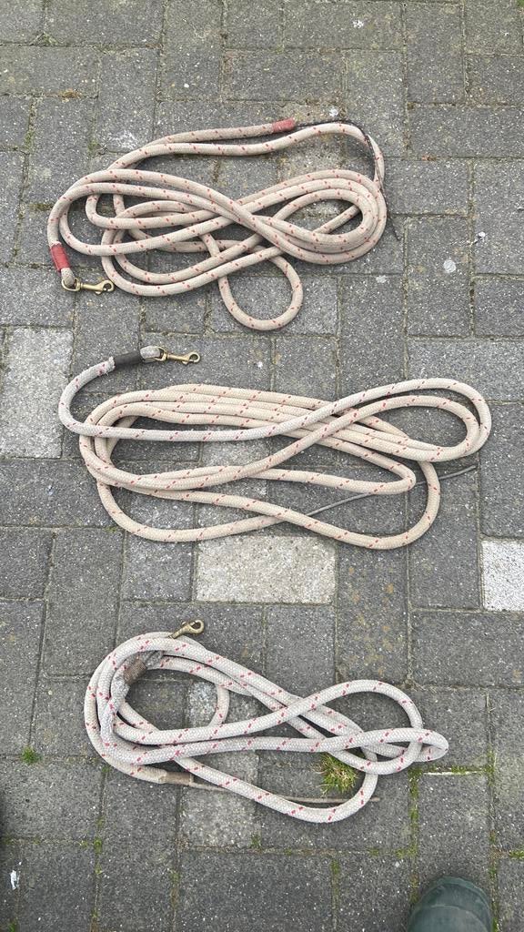 Mooie lijne set. Leadrope 3m en dll lijnen, Dieren en Toebehoren, Ophalen of Verzenden