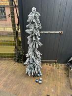 Kerstboom - Gratis op te halen, Ophalen, Gebruikt