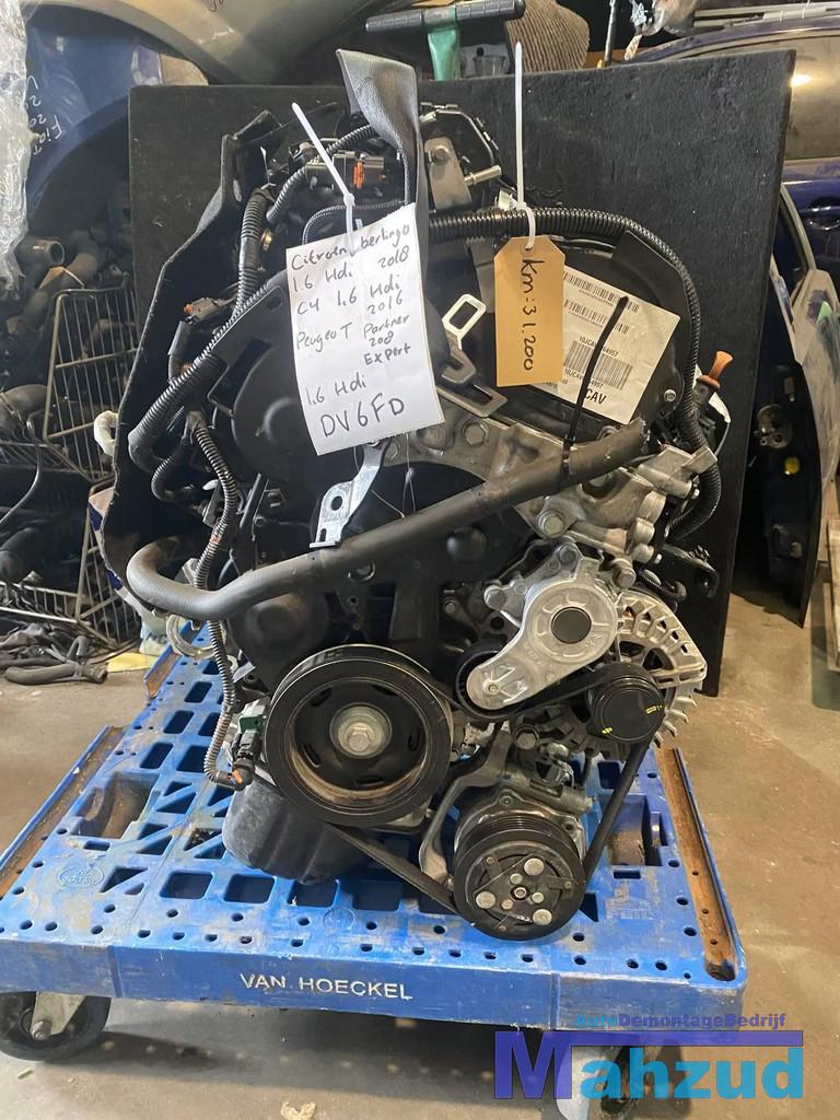 Citroen Berlingo C4 CACTUS 1.6 BlueHDI Motorblok DV6FD, Auto-onderdelen, Motor en Toebehoren, Gebruikt, Citroën, Stellantis N.V.