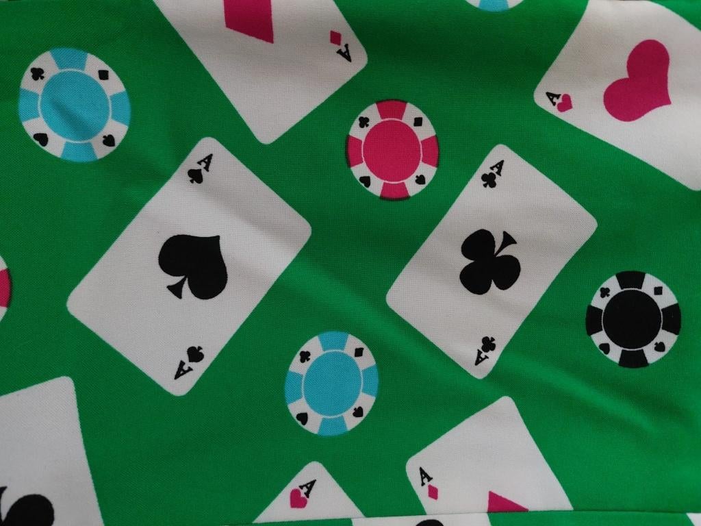 Carnavalskleding en Feestkleding kostuum thema, Ophalen of Verzenden, Zo goed als nieuw, Maat 46/48 (XL) of groter, Overige thema's