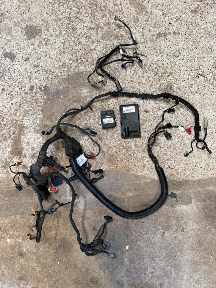 Onderdelen, Motoren, Onderdelen | Harley-Davidson, Gebruikt, Ophalen of Verzenden