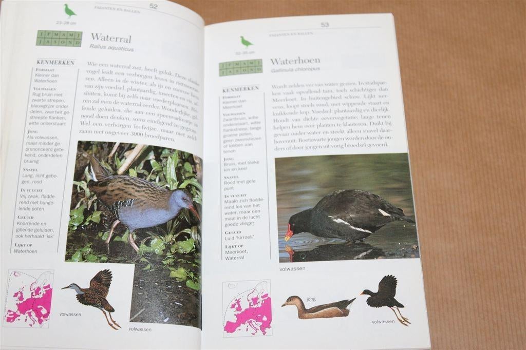 Basisgids flora en fauna in Nederland. Natuurmonumenten., Boeken, Ophalen of Verzenden, Gelezen, Natuur algemeen