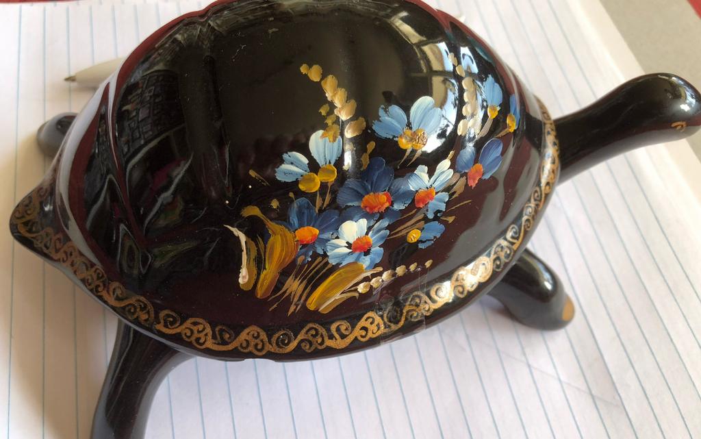 Schildpad, Ophalen of Verzenden, Gebruikt, Dier