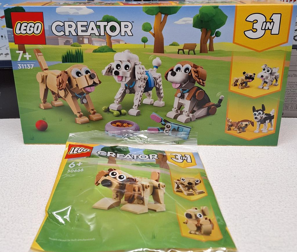 LEGO Creator 3in1 Schattige Honden Set 31137 + 30666 Puppy, Ophalen, Lego, Nieuw, Ongeopend/sealed