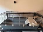 Konijn / cavia hok, Dieren en Toebehoren, 110 cm of meer, Zo goed als nieuw, Hok, Cavia