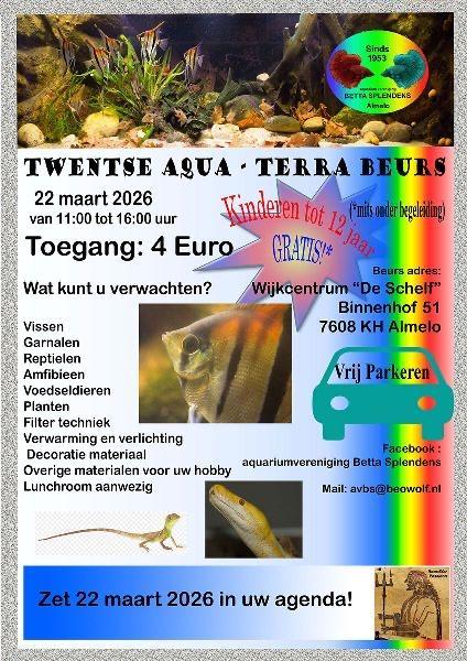 Compleet collectie ball pythons te koop op de beus in almelo Ball Python - unknown for sale from Mic