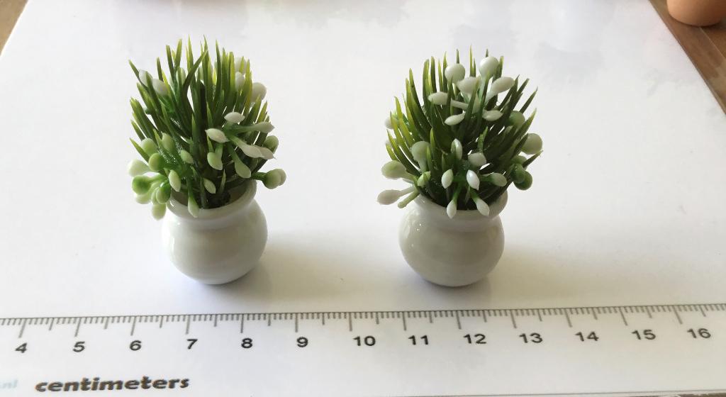 Poppenhuis miniaturen pot planten, Verzamelen, Ophalen of Verzenden, Nieuw, Poppenhuis