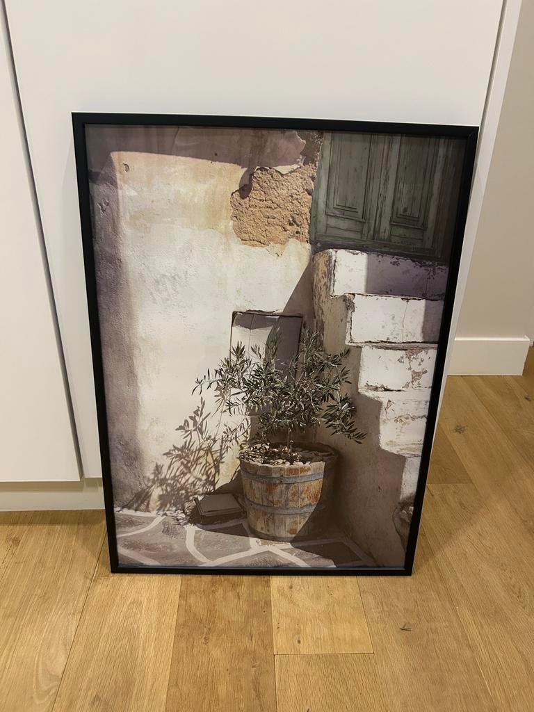 Ingelijste foto olijfboom 72,5x52,5cm, Ophalen of Verzenden, Zo goed als nieuw, Foto of Poster, 50 tot 75 cm